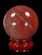 Colorful Petrified Wood Sphere #41934-1